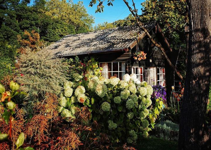 Zur Gartenlaube